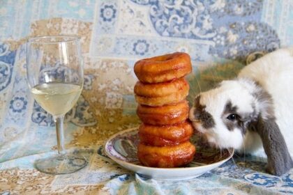 Raspberry White Wine Glazed Doughnuts [Vegan] – One Green Planet