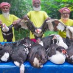 China Duck Kalavuna - China Hash Kosha Curry Recipe Of Grandpa - Food for Special People