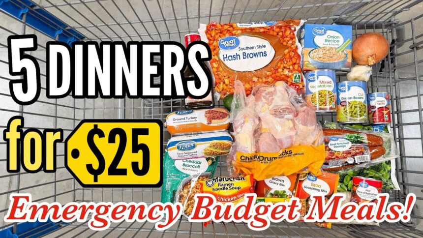 Make 5 EASY Dinners for $25! | Tasty Budget Meals & Walmart Grocery Haul | Julia Pacheco