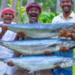 3 BIG FISH FRY | Streaked Spanish Mackerel Fish Fry Recipe Cooking In Village Vanjaram Meen Varuval