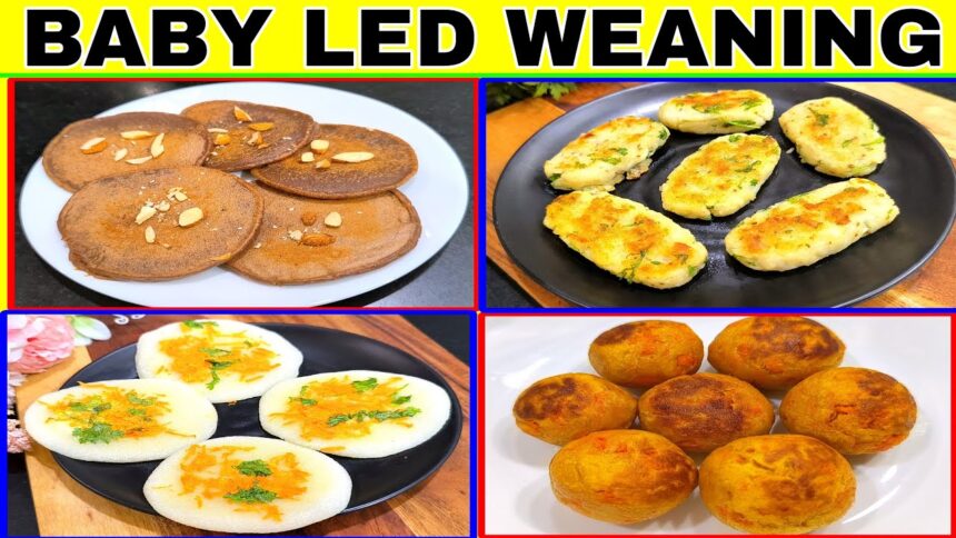 Baby Food Recipes For 1 Year To 5 Years | Finger Food | Baby Led Weaning | Healthy Food Bites