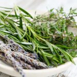 A Guide to Dehydrating Your Summertime Herbs and Greens – One Green Planet