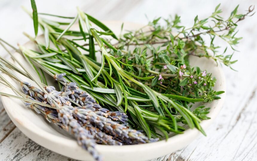 A Guide to Dehydrating Your Summertime Herbs and Greens – One Green Planet