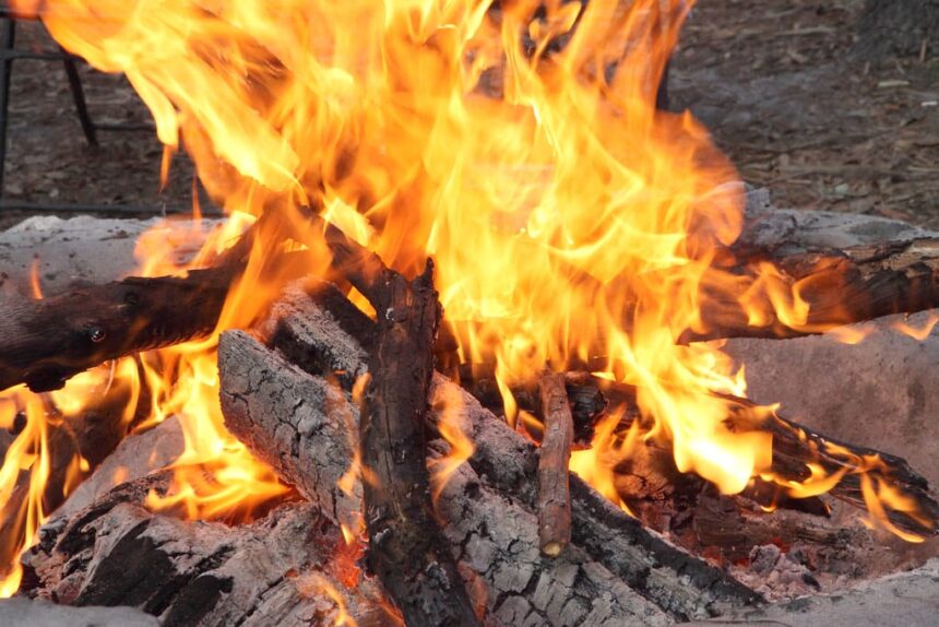 6 Easy Tips for Quick Plant-Based Campfire Cooking! – One Green Planet