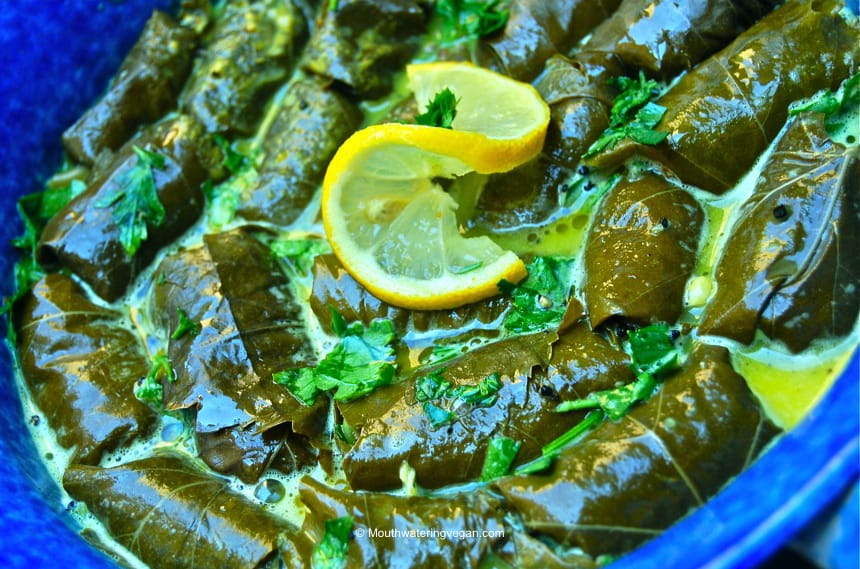 Stuffed Greek Vine Leaves [Vegan] – One Green Planet
