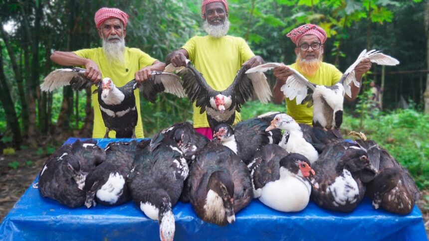 China Duck Kalavuna - China Hash Kosha Curry Recipe Of Grandpa - Food for Special People