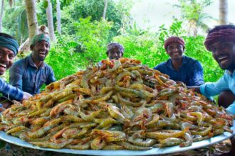 PRAWNS FRY | Crispy Shrimp Fry Recipe Cooking in Village | Tasty Fried Shrimp Seafood Recipe