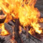 6 Easy Tips for Quick Plant-Based Campfire Cooking! – One Green Planet