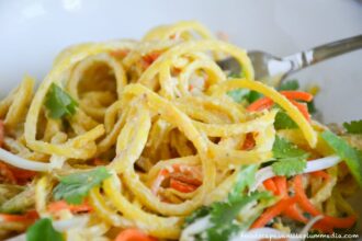 15 Vegan Spiralized Noodle Recipes That Are Fresh and Flavorful! – One Green Planet