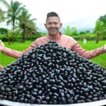 100 Kg JAMUN FRUIT | SWEET JAVA FRUIT Jam Recipe Cooking In Village | Njaval Pazham Jam