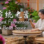 Yuxi Aged Fermented Broad Bean Sauce – The Soul of Yunnan Cuisine【滇西小哥】