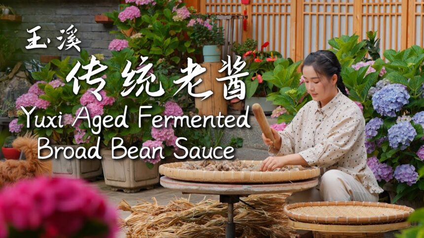 Yuxi Aged Fermented Broad Bean Sauce – The Soul of Yunnan Cuisine【滇西小哥】