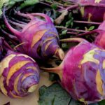 10 Under-Appreciated Veggies You Need to Add to Your Diet! – One Green Planet