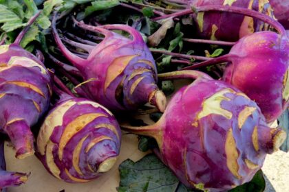 10 Under-Appreciated Veggies You Need to Add to Your Diet! – One Green Planet