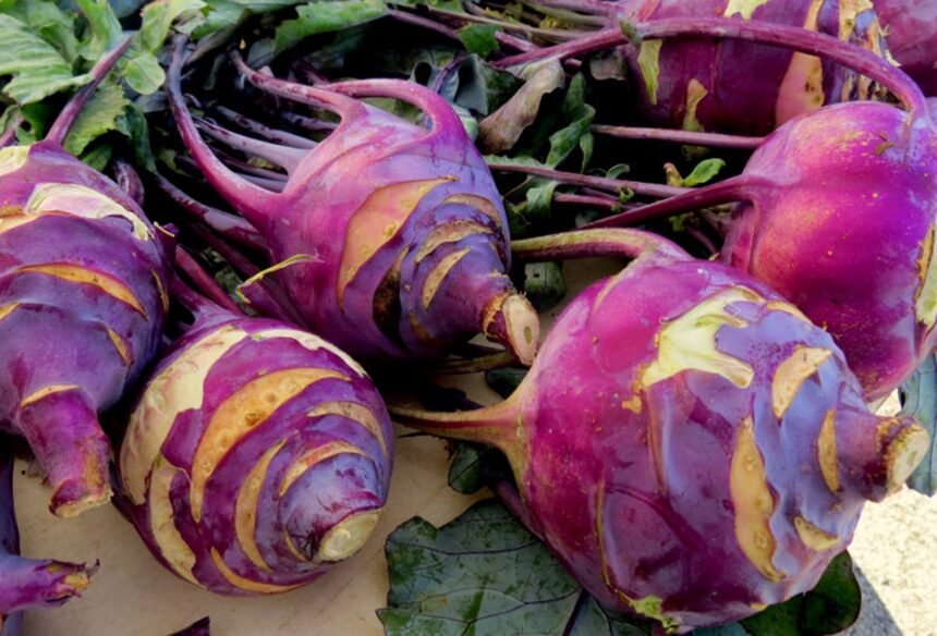 10 Under-Appreciated Veggies You Need to Add to Your Diet! – One Green Planet
