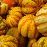 7 Squashes and Pumpkins to Plant for Autumn – One Green Planet