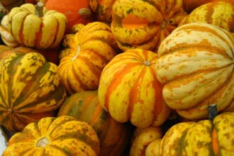 7 Squashes and Pumpkins to Plant for Autumn – One Green Planet