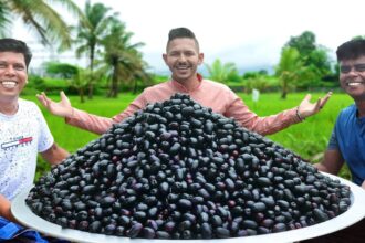 100 Kg JAMUN FRUIT | SWEET JAVA FRUIT Jam Recipe Cooking In Village | Njaval Pazham Jam