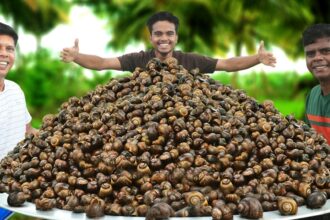 SNAIL GRAVY | NATHAI KULAMBU | Snail Recipe Cooking In Village | Healthy Food