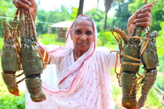 LOBSTAR recipe | King Size Lobstar Masala Curry cooking by our Grandmother and my Mother | villfood