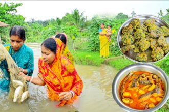 আজ পুকুর থেকে মাছ ধরে আলু দিয়ে মাছের ঝোল রান্না করলাম সাথে পুঁই পাতার বড়া আর দুপুরে খাওয়া দাওয়া