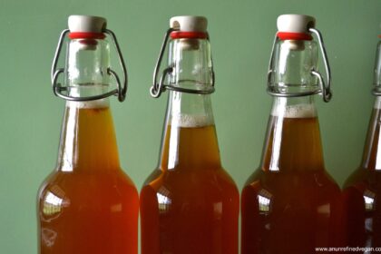 How to Make Kombucha [Vegan] – One Green Planet