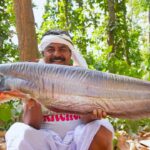 10 kg Big size pond fresh Boal fish cutting and cooking for village people | villfood Kitchen