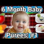 Healthy Baby Food Recipes for 6 Month  Stage #1 (Day 1-9) @Littlebiteskitchen .