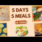 Baby Food Recipes For 1-3 Year Old 🍲| Baby Food Chart | Healthy and Nutritious | @ThatmessyBun