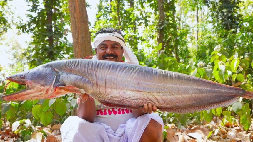 10 kg Big size pond fresh Boal fish cutting and cooking for village people | villfood Kitchen