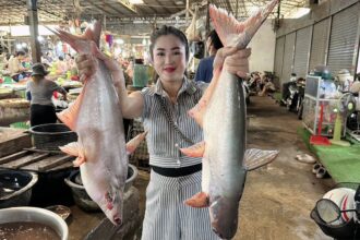 Country chefs: Buy fish from the market and cooking | Country food recipe