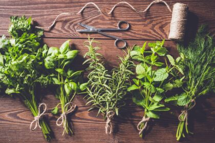 5 Essential Autumn Herbs for Cozy Cooking! – One Green Planet