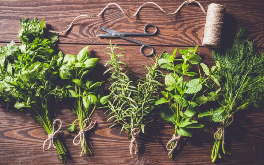 5 Essential Autumn Herbs for Cozy Cooking! – One Green Planet