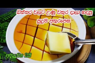 බිත්තර දෙකෙන් පවුලට අතුරුපසක් මේක නම් පුදුමයක්😍 | dessert recipe sinhala | pudding | dessert