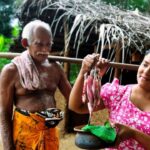 village food! how my father enjoyed eating cuttlefish curry on a rainy day
