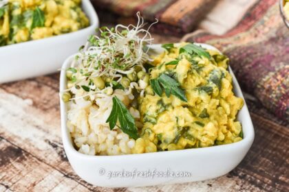 Indian Cauliflower and Lentil Stew [Vegan, Gluten-Free, Oil-Free] – One Green Planet