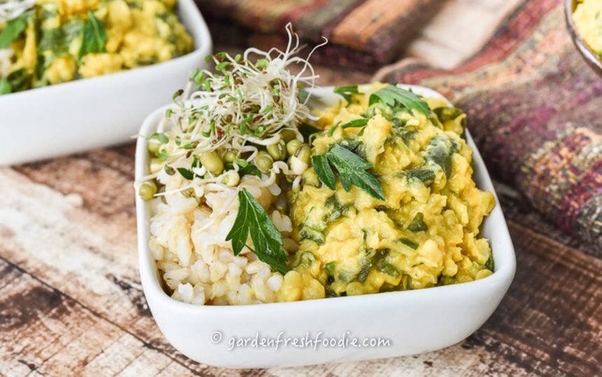 Indian Cauliflower and Lentil Stew [Vegan, Gluten-Free, Oil-Free] – One Green Planet