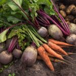 Troubleshooting Common Issues in Growing Root Vegetables – One Green Planet
