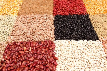 Exploring the High-Protein, Healthy Profile of Legumes with Recipes – One Green Planet