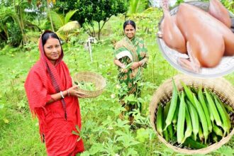 নিজেদের বাগানে সবজি তুলে পোস্ত ভেন্ডি রান্না করলাম সাথে চিকেন কারি রেসিপি আর খাওয়া দাওয়া