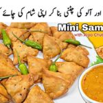Crispy Mini Samosas and Mouthwatering Aloo Chutney: Perfect Evening Snack! Awesome Food Recipes