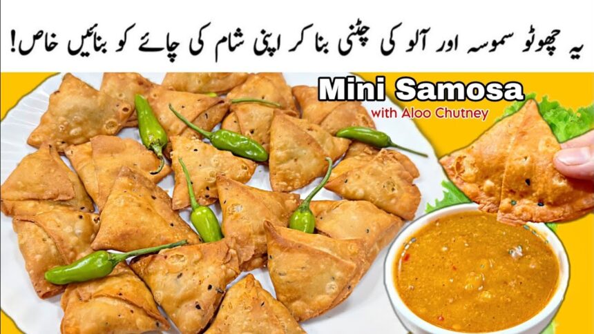 Crispy Mini Samosas and Mouthwatering Aloo Chutney: Perfect Evening Snack! Awesome Food Recipes