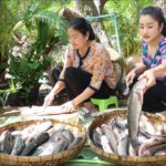 Mother and daughter cooking: 20kg snakehead fishes cook with 3 recipes | Snakehead fish recipes