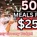 50 Meals for $25 | Budget Cooking Challenge for a Family of 5
