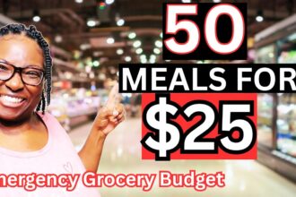 50 Meals for $25 | Budget Cooking Challenge for a Family of 5