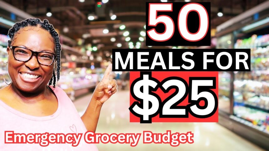 50 Meals for $25 | Budget Cooking Challenge for a Family of 5
