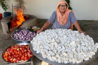 PANEER 2 PYAZA Recipe | Paneer Recipe | Desi Style Paneer Making | Veg village food