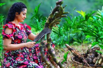 Creamy & Crispy Kohila Root Recipes with Lasia Leaves  🥗 Sri Lankan Village Cooking & Fried Snacks