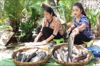 Mother and daughter cooking: 20kg snakehead fishes cook with 3 recipes | Snakehead fish recipes
