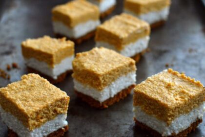 No-Bake Layered Pumpkin Cheesecake [Vegan] – One Green Planet